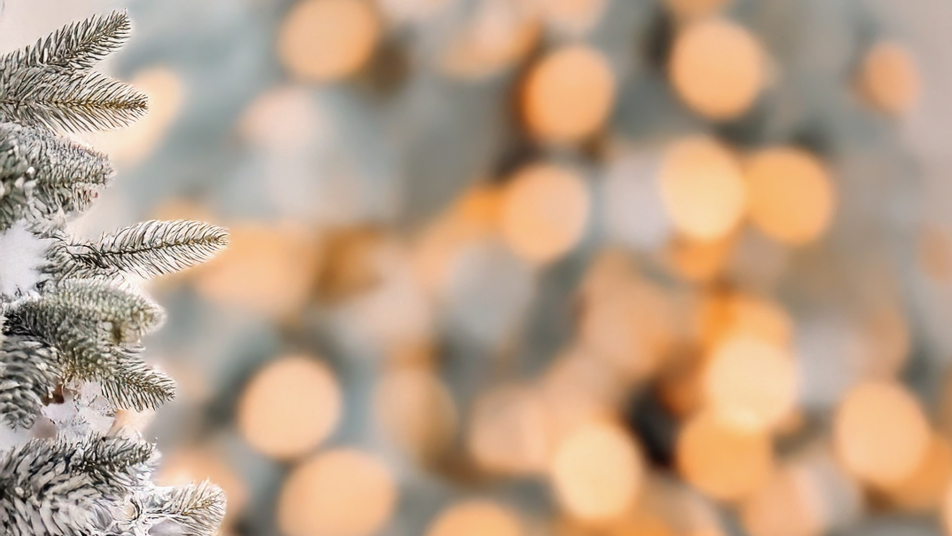 Verschwommene weihnachtliche Lichter, an der linken Seite eine schneebedeckte Tanne