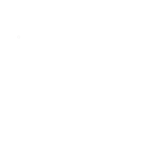 40 RIETZLER Logo Negativ