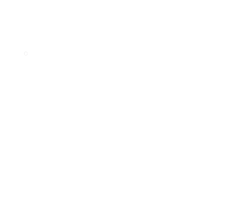 40 RIETZLER Logo Negativ